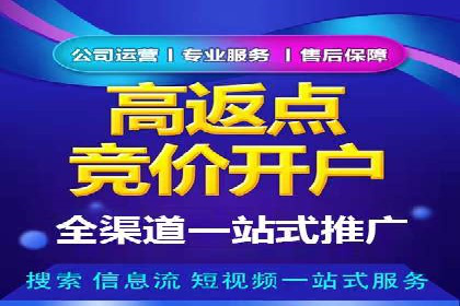 百度移动广告推广策略及效果展示
